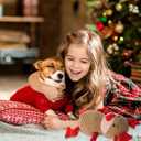 Chngeary 2 Pack Christmas Squeaky Plush Dog Toys for Small Medium Large Dogs, Durable and Indestructible Dog Toys,Stuffed Squeaky Toys for Dogs Puppy Toys Include Cute Snowman and Elk