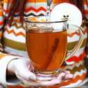 Spiced Hot Apple Cider Instant Mix Packets Alpine Original Apple Flavor 10 Beverage Pouches