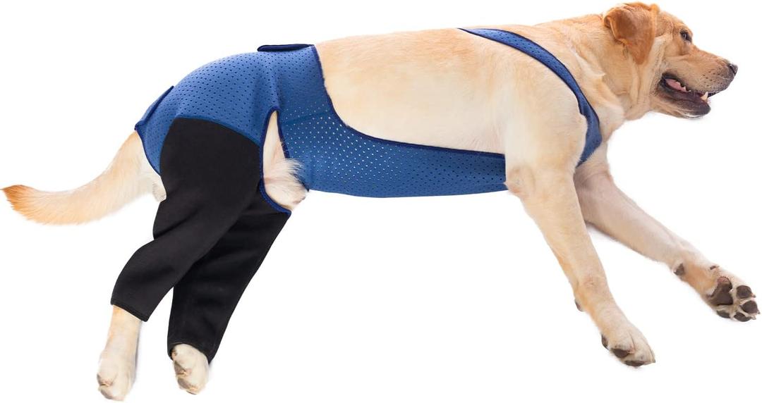 Coodeo Dog Recovery Suit Prevent Licking, Biting (L, Blue)