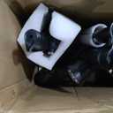 Electric Scooter with Seat ZD06, 800W Peak Motor, 20 Mile Range & 15.5 Mph, Key Start, Foldable EScooter with Carry Basket for Pets & Cargo, ElectricallyPowered Motor Scooters