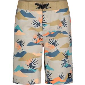 Quiksilver Boys' Boardshorts with UPF 50+ Sun Protection, Quick Dry Swim Shorts (16, Silver Slow Daze)