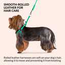 CollarDirect Rolled Leather Dog Harness Small Puppy Step-in Leash Set for Walking (Black, XS)