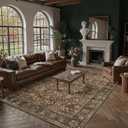8x10 Rust Red Washable Vintage Area Rug Living Room