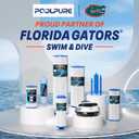 POOLPURE Type A or C / III Pool Filter Replaces Intex 29000E/59900E/#29003E