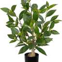 Briful Fake Plants 18.8'' Tall Artificial Plants Indoor Decor, Faux Bay Laurel Plant with Flowers in Black Pot, Floor Plant Houseplant for Home Farmhouse Outdoor Patio Porch Decorations