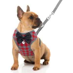 Rypet Small Dog Harness and Leash Set - No Pull Pet Harness with Soft Mesh Nylon Vest for Small Dogs and Cats Red L