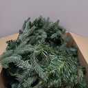 6Ft Christmas Garland, Artificial Pine Garland Holiday Decor for Outdoor or Indoor Home Garden Artificial Green Greenery, or Fireplaces Holiday Party Decorations (Green)