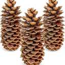 Large Pine Cones for Crafts, 912 Inch Real Natural Sugar Pinecones, Set of 3 Large Decorative Pine Cones for Vase Filler, Holiday Dcor, Rustic Table Centerpieces, DIY Wreaths Natural