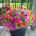 Yastouay 24 Bundles Artificial Flowers for Outdoors, UV Resistant Artificial Outdoor Flowers No Fade Fake Outdoor Flowers Plants for Garden Porch Window Box Pot Planters Decor (Fuchsia+Rose Red)