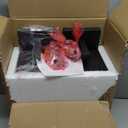 Kalium Porch Lights Outdoor Wall Light Fixture 2pcs, Matte Black, Wall Sconce 12.4 in, Toughened Frame, Clear Glass Shade, Waterproof Lanterns, for Patio, Exterior, Front, Door, Entryway