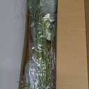VIERENA Artificial Greenery Stems Box Set(Pack of 65pcs) with 8 Kinds of Faux Plants and Fake Flowers for DIY Wedding Bouquet Table Centerpieces and Floral Arrangement (Beige&Dusty Green)