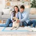 Sweetcrispy 150 Count Dog Puppy Training Pee Pads - Absorbency Disposable Underpads, Leakprood and Quick Drying, Regular Size 21.95''x 21.95'' for Potty Training, Incontinence Pads