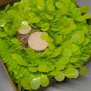 Syhood Whimsical Christmas Tree 5ft Bendable Pop up Collapsible 1 Minute Christmas Tree with 36 Wooden Ornaments for Indoor Outdoor Home Office Holiday Xmas Party Decor Supply