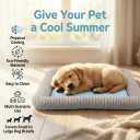 Pbed Dog Cooling Bed Summer Sleeping Cool Ice Silk Bed for Small, Medium, Large Dogs & Cats Breathable Washable Pet Beds with Non-Slip Bottom Blue (Blue Mat, Medium)