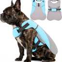 DENTRUN Dog Cooling Vest with Dual Absorbent Core & Reflective Safety | sun protection, adjustable fit, evaporative cooling, lightweight,  for all breeds, hiking summer essential, M