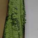 35" Ferns Artificial Bush Plants Large, 2 Artificial Boston Ferns with 39 Fronds for Outdoors Home Decor