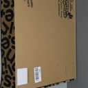 Baby Einstein Ocean Explorers 4-in-1 Kickin Tunes Jellyfish Jamboree Music & Language Discovery Gym, Pink, Ages 0 Months and Up