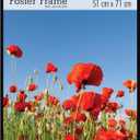 MCS 20x28 Inch Original Poster Frame, Black (23038)