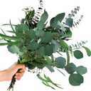 12Pcs Mixed Real Dried Eucalyptus Leaves Stems - Preserved Plant Branches, Silver Dollar Eucalyptus, Seeded Eucalyptus Bouquets for Vase Floral Arrangements Wedding Greenery Decor
