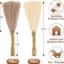 30pcs Pampas Grass Decor,21" Artificial Pompous Grass Bulk,Small Vase Filler Pompas Grass for Home Wedding Living Room Wall Party Decoration (Beige,Light Brown, 21 Inch 30 Pcs)