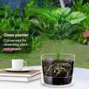 2 Sets 6 Inch Glass Planter with Drainage Hole and Tray Indoor Clear Plant Pots with Saucer Modern Decorative Orchid Glass Pot for Outdoor Flower Plants, As shown