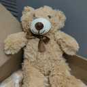Skylety 10 Pcs Bears Bulk Stuffed Animal Plush Toys 10-14 Inches Birthday Party Favors(Light Brown)