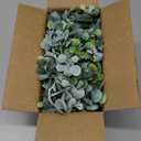 DearHouse Faux Eucalyptus Garland Plant, 2 Pack Artificial Vines Hanging Eucalyptus Leaves Greenery Garland for Wedding Backdrop Arch Wall Decor, 6 Feet/pcs UV Protected Indoor Outdoor