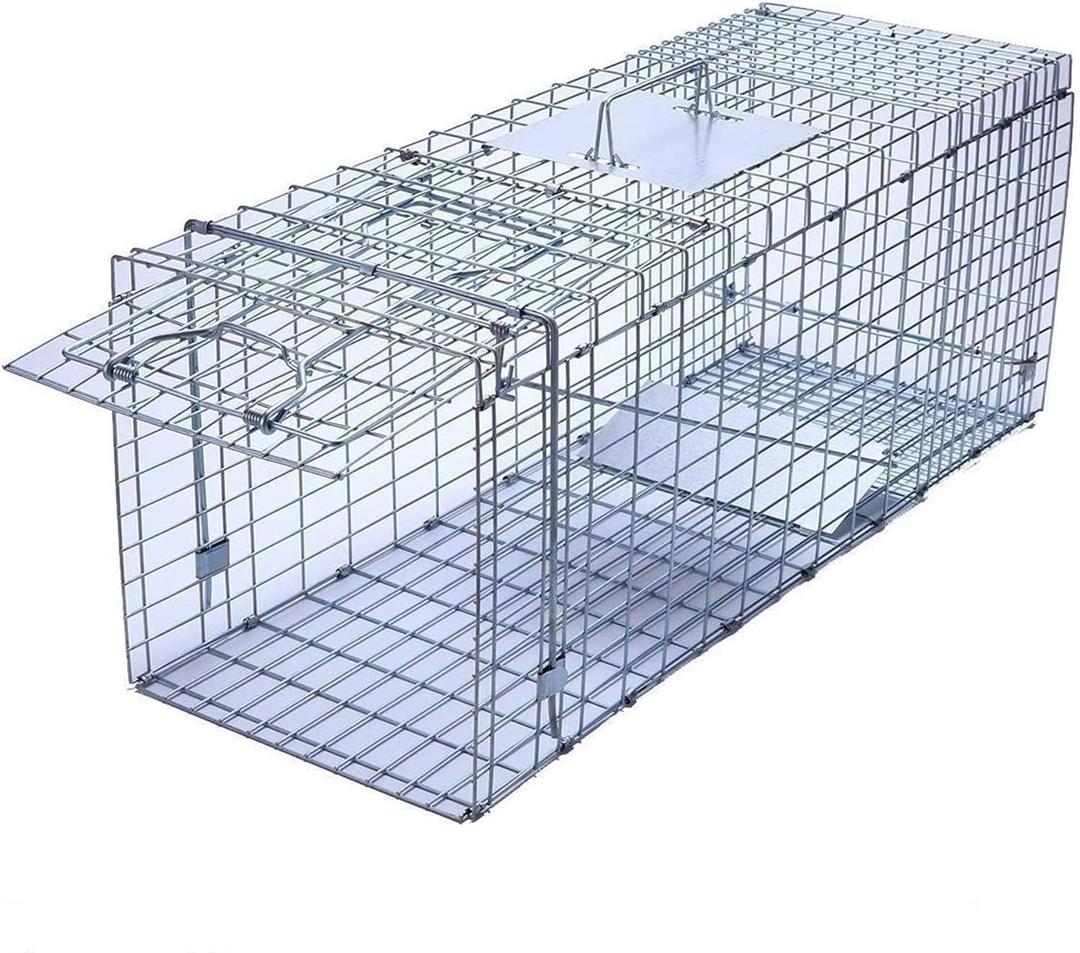 Faicuk Large Collapsible Humane Live Animal Cage Trap for Raccoon, Opossum, Stray Cat, Rabbit, Groundhog and Armadillo 32 x 11 x 13 Inch