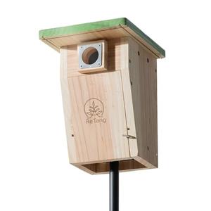 3/4 Inch Thick Cedar Bird House with Metal Predator Guard | Squirrel Proof Nesting Box for Easy Cleaning | Outdoor Wooden Bluebird House for Wild Bird Watching, Swallow, Wren, Chickadee