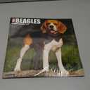 Beagles 2026 Wall Calendar