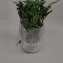 365 Blooming Decor 18 Inch Tall White Potted Faux Bamboo Plant - Luxury Artificial Bamboo in White Pot for Home, Office, Kitchen, Counter Top, Indoor Decor, Money Tree, Lucky Tree