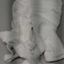 SilTriangle 2 Pcs Christmas Cousin Dog Costume Bathrobe with Hat Super Absorbent Quick Drying Towel Wrap Dog Pajama Cozy Drying Coat for After Bath Suitable for Dogs Weighing (L)