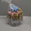 4E's Novelty Multicolored Christmas Candy Canes Display Stand, 100 Count Peppermint Flavors, Multi Colored Xmas Candies Canes Individually Wrapped, Christmas Candy Cane, Stocking Stuffers Bulk for Family Treats