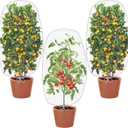 Alpurple 3 PCS Insect Bird Barrier Netting Mesh with Drawstring- 3.2 x 2.6 Feet Fruit Tree Net-Garden Netting Plant Cover for Protect Plant Fruits Flower from Insect Bird Eating