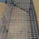 HAVAHART 1079SR Large 1-Door Humane Catch and Release Live Animal Trap Cage - Live Raccoon Trap, for Bobcats, Beavers, Dogs, & More