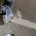 Dream On Me Jayden 4in1 Mini Convertible Baby Crib & Changer with Storage in White, Pinewood, GreenGuard Gold & JPMA, 1 Mattress Pad, 3 Mattress Heights, Converts to Mini Day & Twin-Size Bed