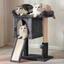 Cat Tree for Large Cats with Scratching Post, Small Cat Tower with Spacious Top Bed 20x13.8 Private Cat Condo and Ramp and Self Groomer and Spring Ball-Dark Grey