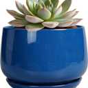 G EPGardening 6 Inch Plant Pot - Round Ceramic Planter Indoor with Drainage and Ceramic Saucer for Flower, Modern Desk Decor, Modern Garden Gift, Blue