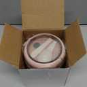 Juome 16oz Kids Thermo for Hot Food - Insulated Vacuum Food Jar Container, Wide Mouth Stainless Steel Soup Thermo Lunch Box for Kids with Spoon, Leakproof (Pink)