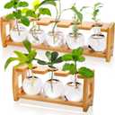2 Pack Propagation Stations with Bamboo Stand, 8 Bulbs Desktop Water Plant Terrarium Vase, Retro Plant Propagation Jars for Indoor Plants, Glass Planter Gifts for Home Office Table Decor