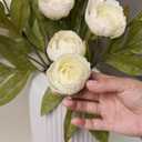 VIERENA 12 Pcs Faux Silk Peony Artificial Flowers for Vase -27", Bulk Fake Peonies Branches with Stems for DIY Bouquet Centerpieces Wedding Fillers Arrangements Shower Decorations (Cream)
