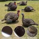 Novabright 5 Pcs 2D Turkey Decoys Hunting Stake-Lightweight Turkey Decoys Collapsible Stakes-Portable Pole for Replacement Stake