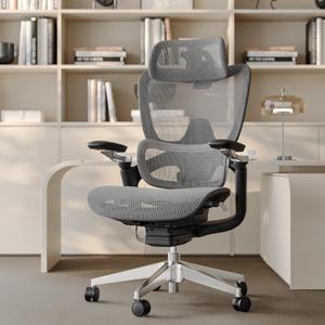 Ergonomic Office Chair with Adjustable 3D Lumbar Support, Big and Tall Mesh Home Desk Chair 5D Armrests, Executive Chair with 4D Headrest, 90-130Tilt, BIFMA Certified, Model Zen (Grey)