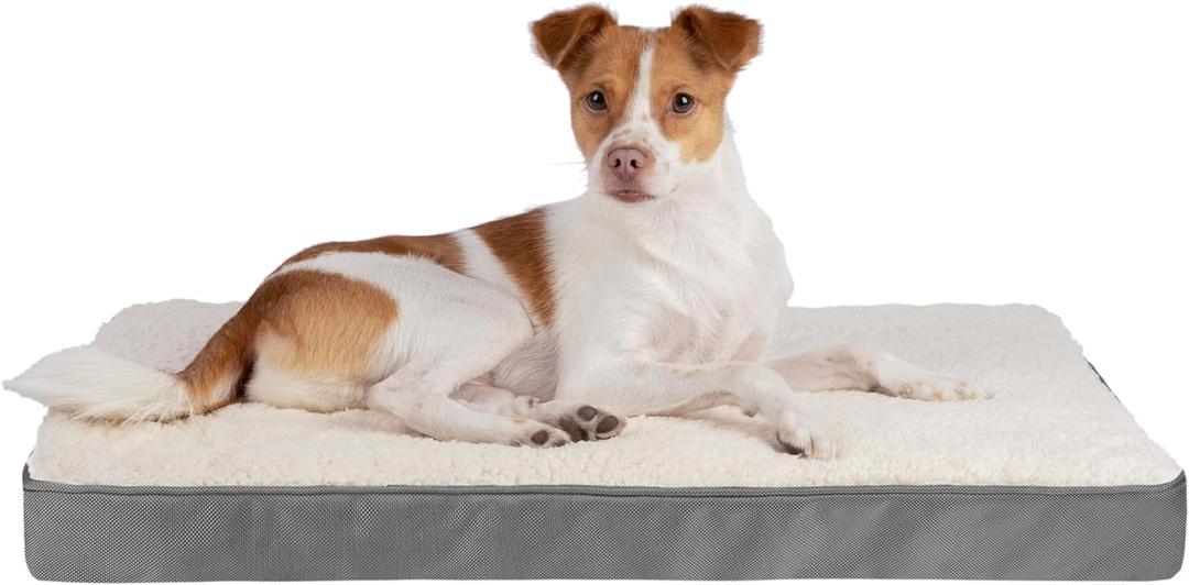 Best Pet Supplies Cute Dog Crate Mat Flat Bed with Waterproof Exterior, Thick Orthopedic Egg Foam Mattress, and Soft Sherpa Fleece Cover for Small, Medium, and Large Breeds - Gray, 30X20X3 (Dog Mat (Gray))