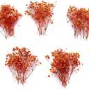 50 pcs Mini Dried Orange Baby Breath Flower Dried Flower for Crafts Press Flowers Wedding Wreath Decoration Gift Card Decor Floral