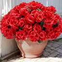 Artificial Geranium Flowers for Outdoors: 6 PCS Realistic UV Resistant Faux Red Geranium Silk Flowers for Outdoor Planters Fade Proof Garden Fake Flowers Decor for Outside Porch - Red