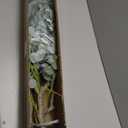 4ft Artificial Eucalyptus Tree, Fake Eucalyptus Tree with White Silver Dollar Leaves, Silk Faux Eucalyptus Tree with Plastic Nursery Pot, Artificial Plants for Home Office Indoor Decor,1 Pack