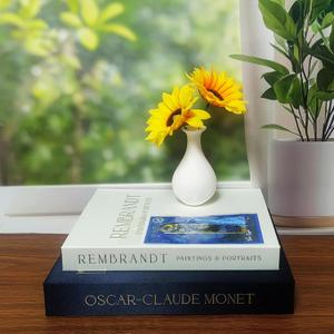 Decorative Books Set of 2 - Elegant Faux Books for Coffee Table with Metal Tassel Bookmark, Bookshelf Accents & Photo Keepsake Storage Box