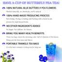 Butterfly Pea Flower Tea Bags - Gokarna Flower Tea, Transparent triangle teabag, Premium Dried Butterfly Pea Flowers, 100% Natural | No Sugar | No Caffeine | No Gluten | Vegan 2.82Oz (1) (EXP 10/28/26)