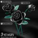Black Rose Building Blocks Set for Kids, 634PCS Flower Bouquet Brick Toy, Romantic Gift for Girls, Women, Valentine's Day, Birthday, Mother's Day, Halloween, DIY Artificial Plant for Home Gothic Decor